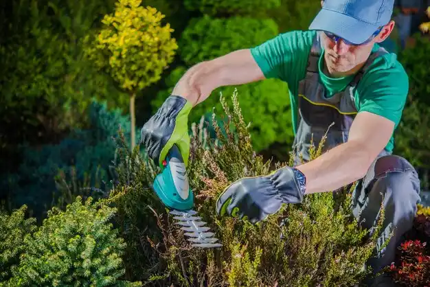 landscaping services Lake Waynoka